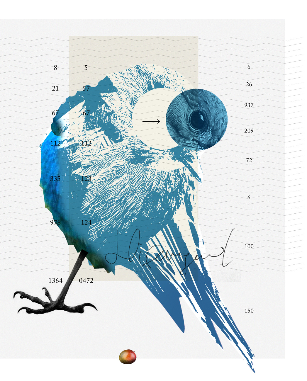 bird graphic